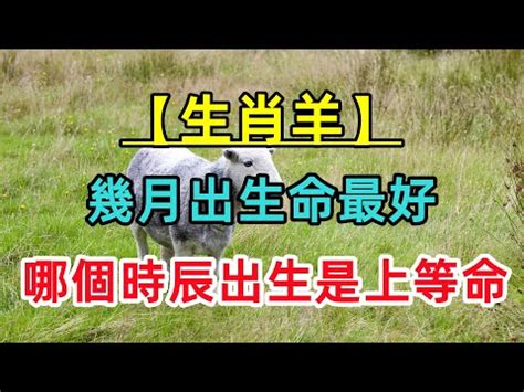 羊年幾歲|屬羊今年幾歲 羊年是民國西元哪幾年